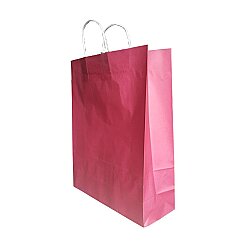 Pembe Burgu Saplı Büyük Boy Kağıt Çanta 32x40x12 cm - AMBALAJ MAĞAZASI